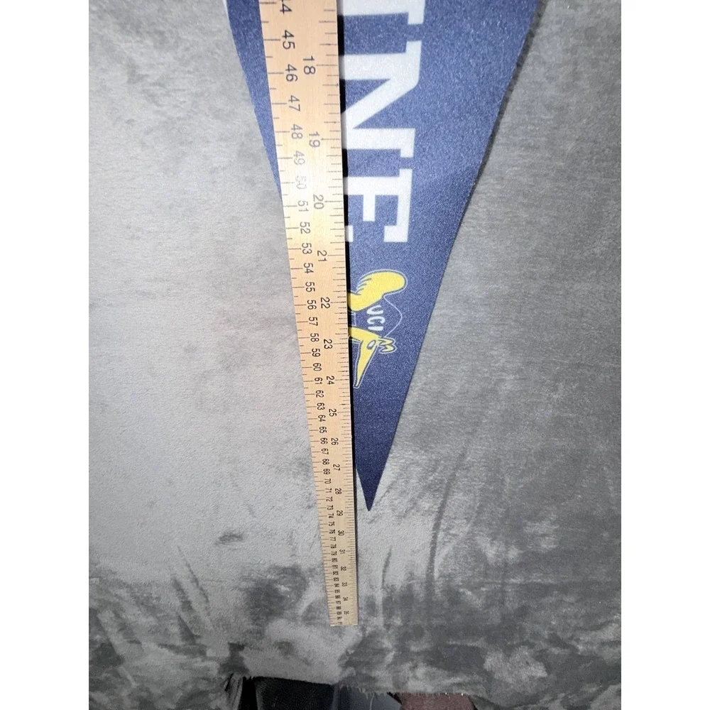 UC Irvine Pennant College University Mascot Blue Yellow Felt Wall Decor